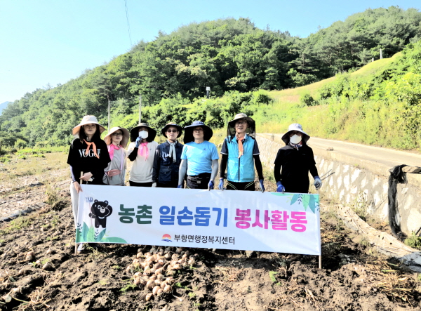 크기변환_부항면, 농업인 양파 수확에 구슬땀-부항면(사진1).jpg