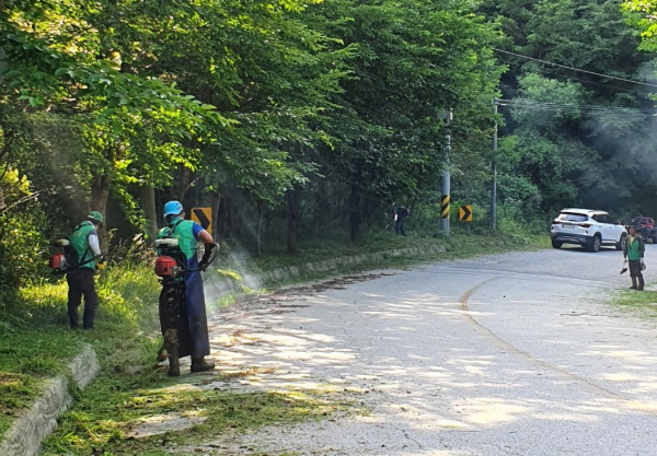 크기변환_부항면 새마을남녀협의회, 여름철 연도변 풀베기 실시-부항면(사진1).jpg