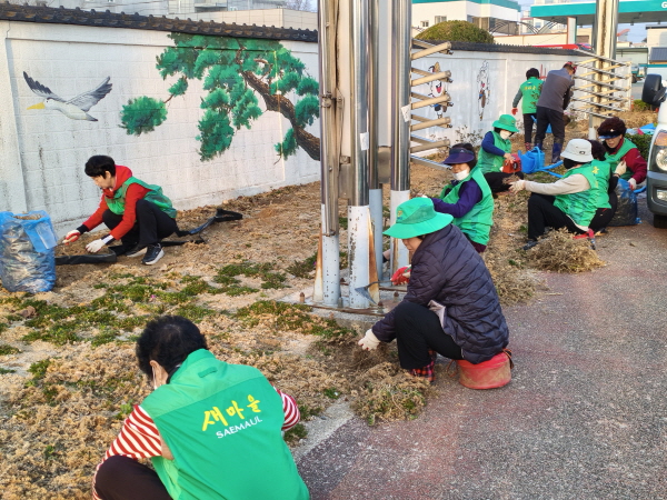 크기변환_2026년 그린 대곡동 만들기 꽃묘식재-대곡동(사진1).jpg