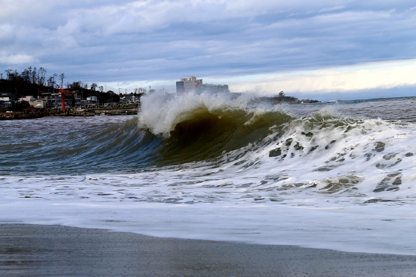 크기변환_IMG_0371 (2).jpg