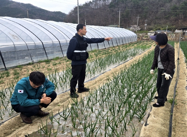크기변환_김천시, 로컬푸드 출하 농가 현장 점검 나서-농식품유통과(사진2).jpg