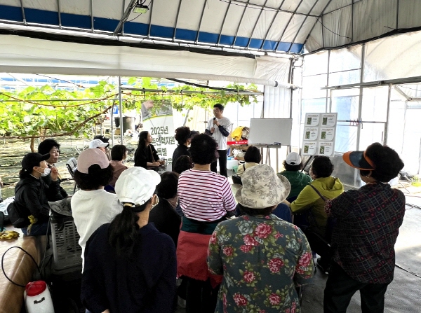 크기변환_농촌인력지원 특별 기술교육(포도 알 솎기) 신청 접수-농촌지원과(사진2).jpg