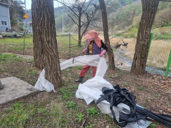 크기변환_부항면 사등2리 부녀회, 새봄맞이 환경정화 활동-부항면(사진2).jpg